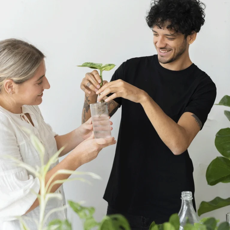 Toxin-free sustainable amenities and conscious living at Mirth