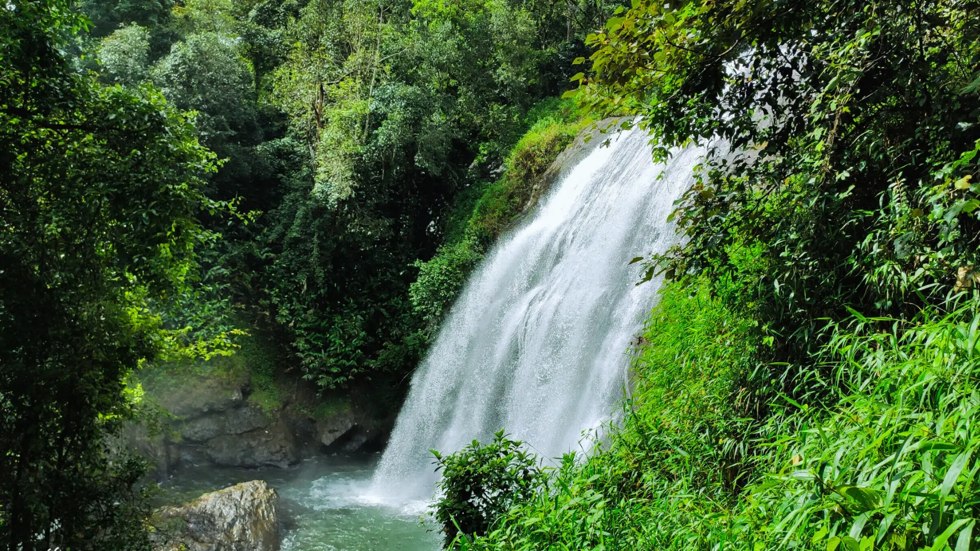 Chelavara Waterfalls in Coorg surrounded by lush green forests