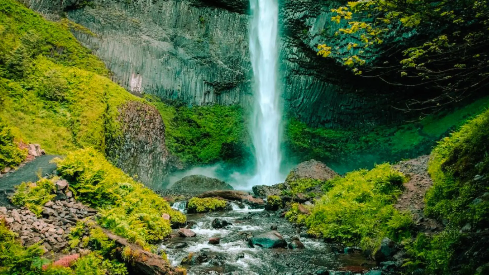 Iruppu Falls near Coorg