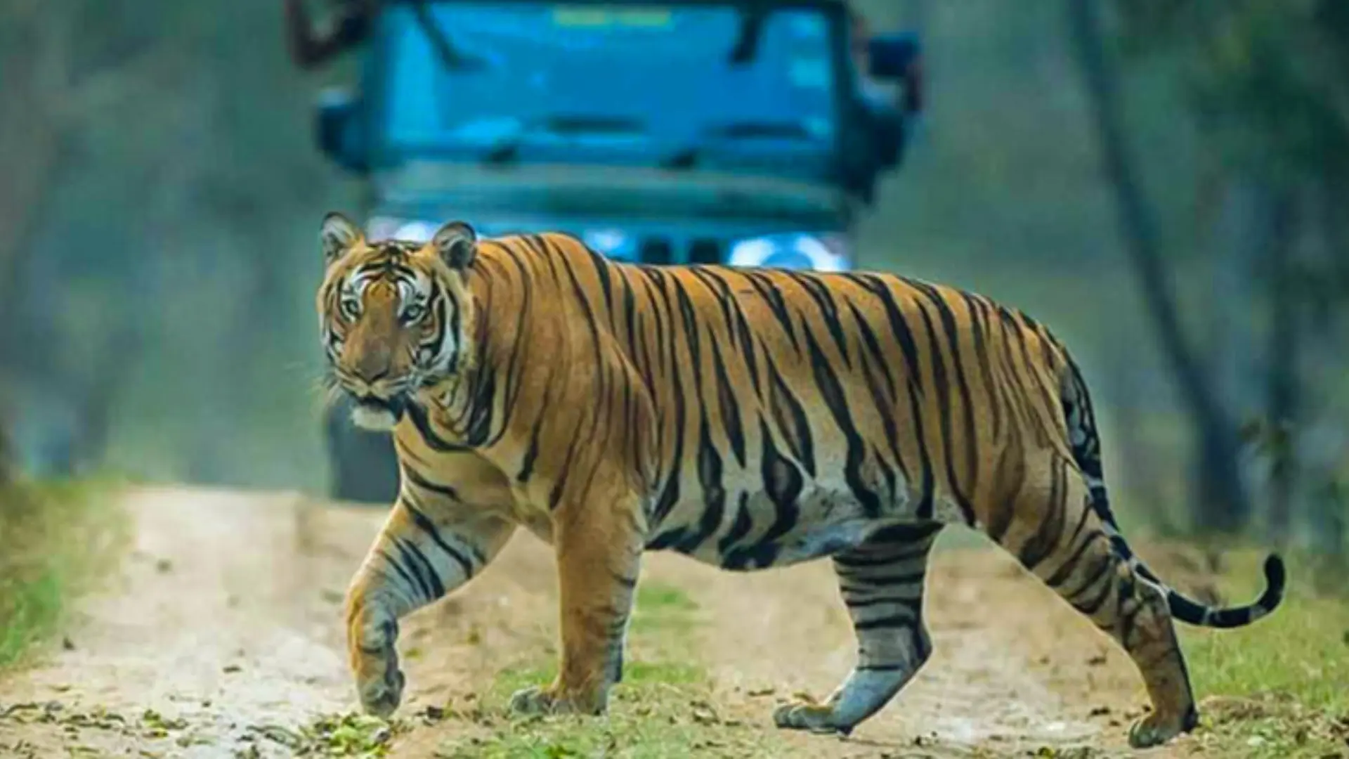 Nagarhole Wildlife Sanctuary near Coorg