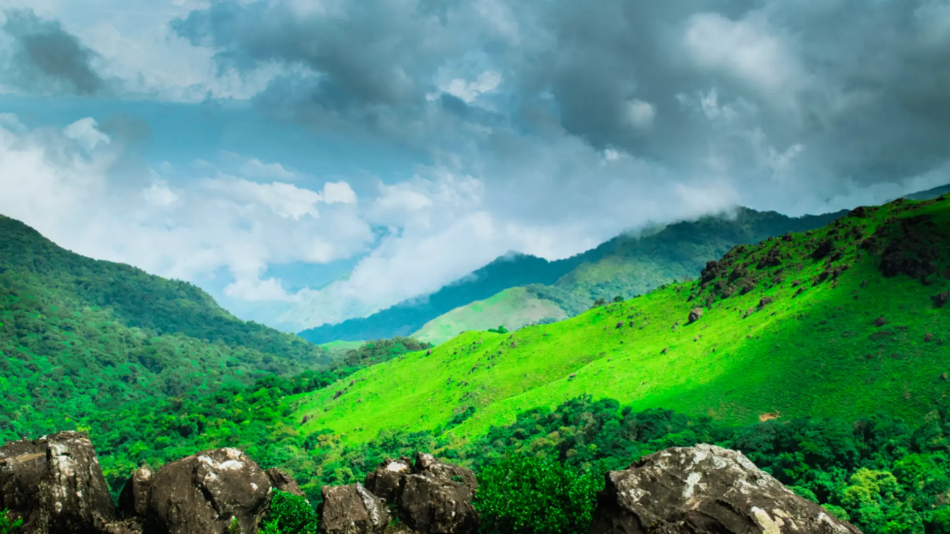 Tadiandamol Trek in Coorg