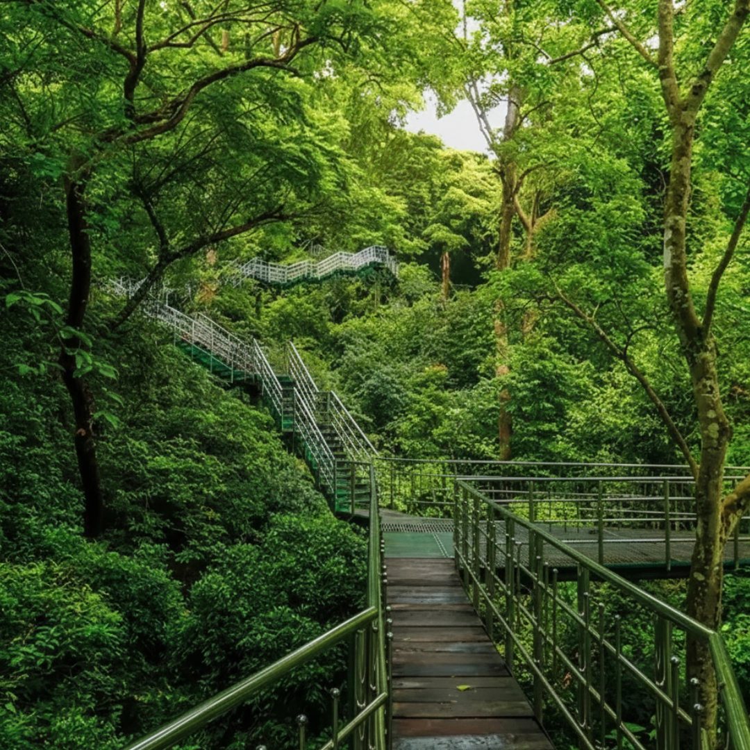 Thenmala Eco Tourism