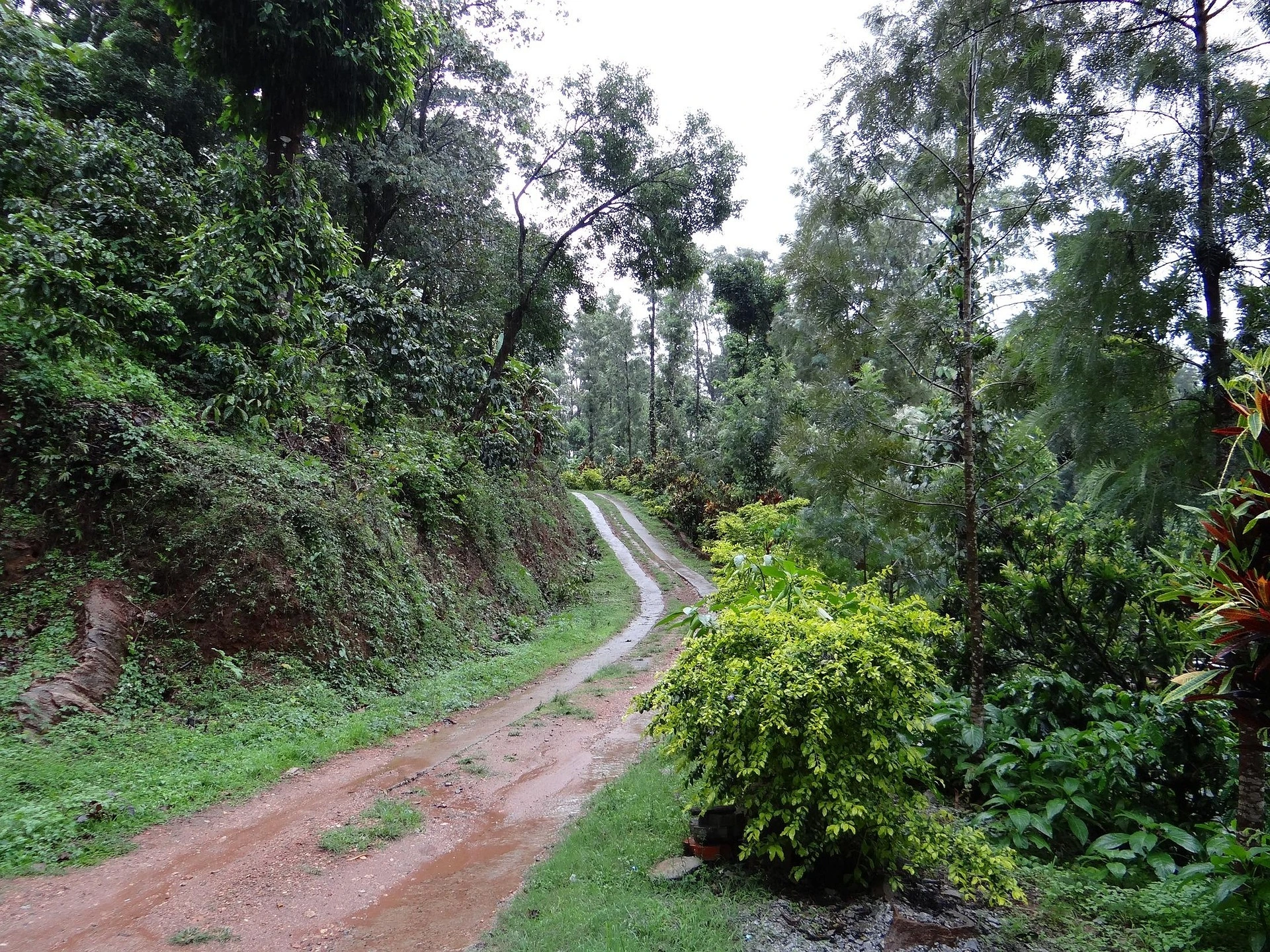 Summer Retreat in Coorg