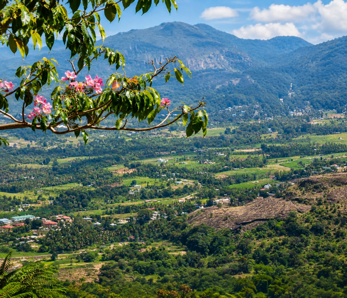 Mountain and nature experience at Mirth Kanthalloor